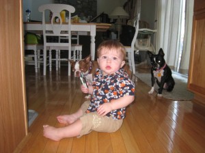 med-img_0212