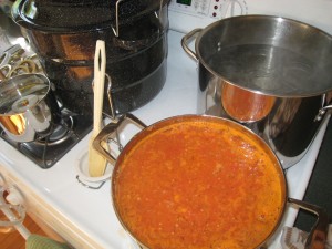 med-img_0229