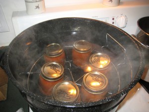 med-img_0237