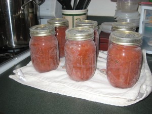 med-img_0238