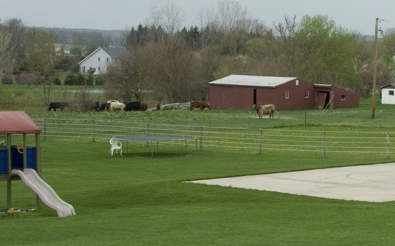 20090427-goshen_pictures-29 Those cows don't belong there...