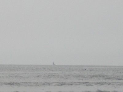 med-IMG_0735 you see that dot at the 4 o'clock position compared to the sailboat? that would be a dolphin. Bow to my picture-taking prowess.